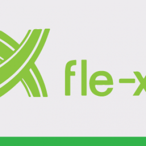 Fle-xx
